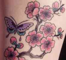 Sakura tetovaže: što to znači?