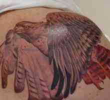 Tattoo `Falcon`: značajke, opis, fotografija