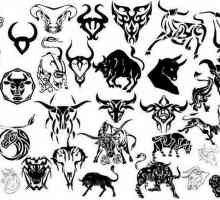 `Taurus` tetovaža: opis, značenje, skice