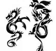 Tattoo u obliku zmaja. Vrste zmajeva (fotografija)