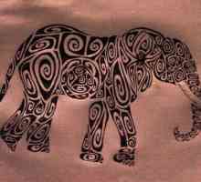 Tetoviranje nije samo ukras: što znači slon? Tattoo sa slikom slonova na zoni iu običnom životu