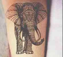Slon tetovaže: Značenje