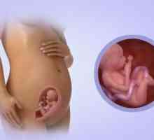 Pelvicni prikaz fetusa u 21. tjednu: uzroci, vježbe, fotografija