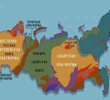 Тектоническая структура Западно-Сибирской равнины. Западно-Сибирская плита
