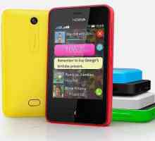 Telefon Nokia Asha 501: recenzije, opisi, specifikacije