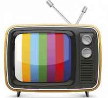 Televizija je ... Koje su vrste televizije?