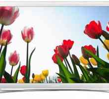 TV Samsung UE22H5610AK - savršeni alat za zabavu