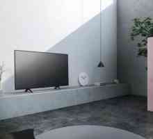 TV Sony KDL-43WE755. Recenzije, specifikacije i softverska ljuska