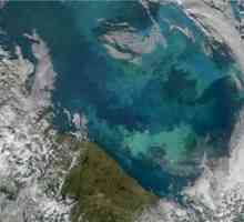 Temperatura i slanost Barentsovog mora. Što je salinitet Barentsovog mora u ppm