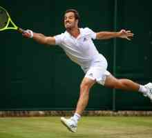 Teniski igrač Richard Gasquet: biografija, postignuća, vještine