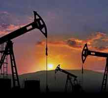 Teorije porijekla nafte: organski i anorganski. Faze stvaranja ulja. Koliko dugo traje ulje?