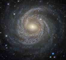 Teorije porijekla svemira. Koliko je teorija o podrijetlu svemira? The Big Bang Teorija: podrijetlo…