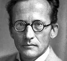 Schrödingerova teorija: opis, značajke, eksperimenti i primjena