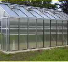 Greenhouse `Botanist` iz polikarbonata ili stakla