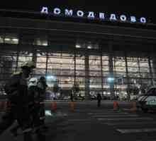 Teroristički napad u Domodedovu: kronika događaja, uzroka, posljedica