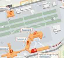 Terminali i shema zračne luke Sheremetyevo