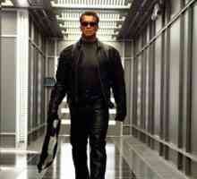 `Terminator` je orijentiran rad u svjetskoj kinematografiji