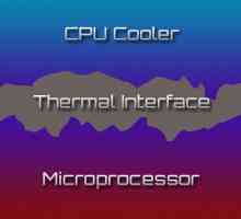 Термопаста для процессора: какая лучше и зачем она нужна?