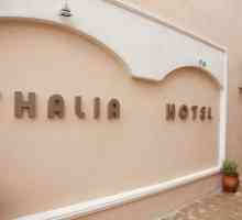 Thalia Hotel Crete 3 * (Chersonissos, Grčka): recenzije gostiju