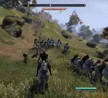 Elder Scrolls Online: zahtjevi sustava za igru