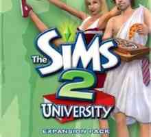 "Sims 2: Sveučilište" - kodovi i značajke