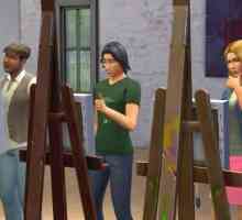 The Sims 4. Zahtjevi sustava. karakteristike