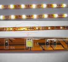 Vrste i vrste LED trake: opis i karakteristike