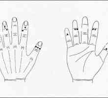 Točke na rukama odgovorne za organe. Akupunkturne točke na rukama (fotografija)