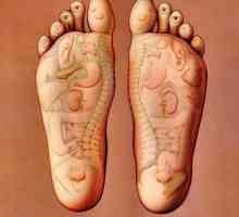 Točke na nozi koja su odgovorni za organe. Akupunktura na nogama