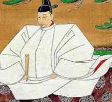 Toyotomi Hideyoshi: fotografija, biografija, citat, aktivnost