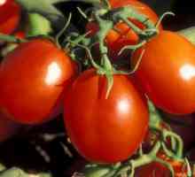 Tomato De Barao: opis, uzgoj i prinos