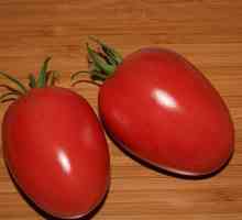 Tomato `de barao pink`: recenzije. Vrste rajčica s visokim prinosom