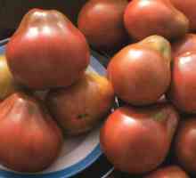 Japanski tartuf od rajčice: fotografija, opis. obilježja