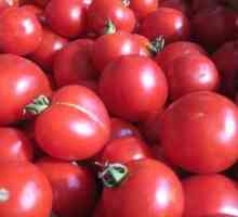 Tomato `Lazy Girl`: opis sorte, karakteristike, uzgoj, recenzije