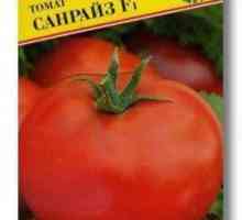 Tomato `sunrise` - prednosti hibridnog postrojenja