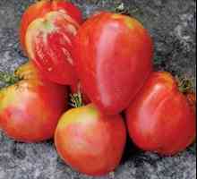 Srce srca rajčice - poslastica među povrćem
