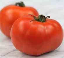 Perzijska rajčica: obilježja raznovrsnosti i rastuće osobine
