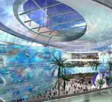 Dubai Shopping centri: raznolikost i povratne informacije