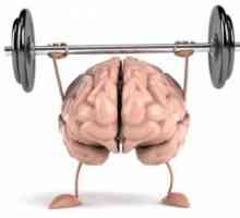 Trening mozga: vježbe. Trening mozga i pamćenja