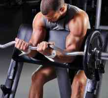 Triceps trening u teretani i kod kuće
