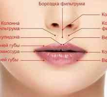 Pukotine u uglovima usana: uzroci i liječenje