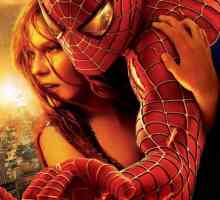 Trilogija "Spiderman": glumci i opis zemljišta