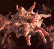 Trombociti: norma kod muškaraca u krvi