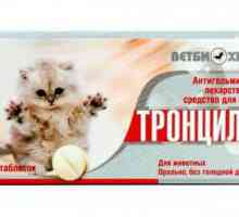 Trontsil-K za mačke: način primjene, doziranje, kontraindikacije, recenzije