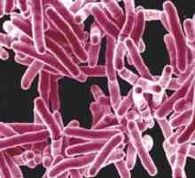 Tuberkuloza crijeva: uzroci, simptomi, dijagnoza i liječenje