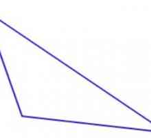Ukočeni trokut: dužina strana, zbroj kutova. Opisan je tup. Trokut