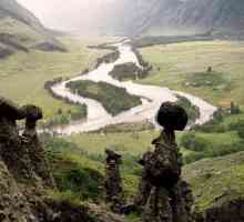 Kamp `Stone gljive` u Altajima