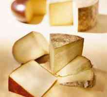 Tvrde vrste sira: imena, vrste i tradicije posluživanja
