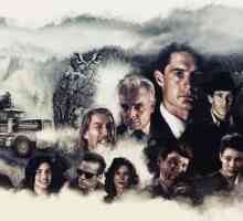 "Twin Peaks": komentari o serijama, recenzijama i fotografijama