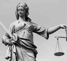Sudjelovanje u procesu arbitraže tužitelja: oblici, zadaci, značajke